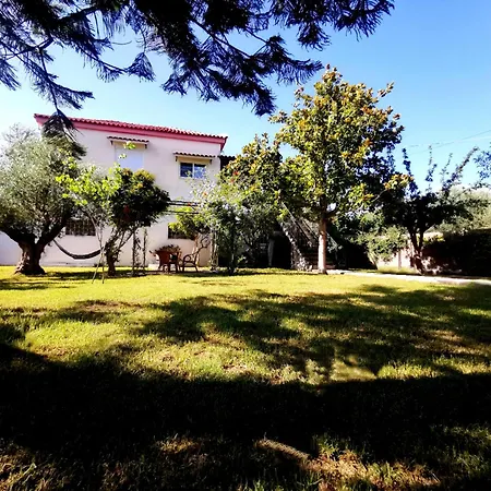 Elvajo Apartment *