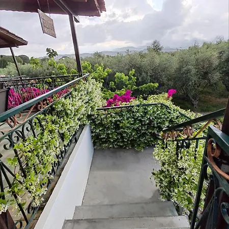 Apartment Elvajo