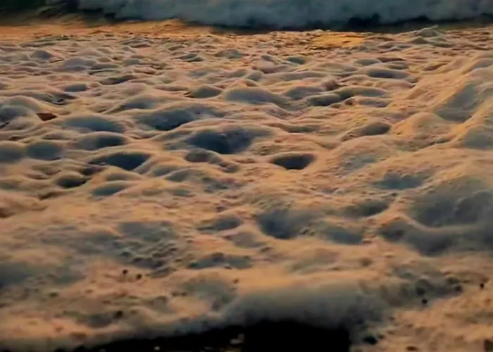 Elvajo 아파트 자하로