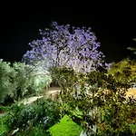 Elvajo