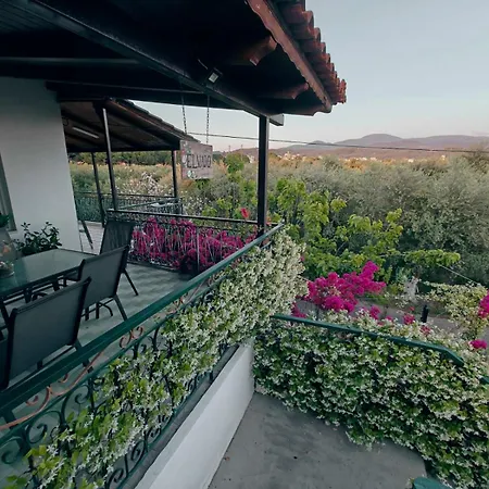 Elvajo Appartement Zacharo