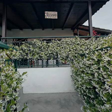 Διαμέρισμα Elvajo Ζαχάρω