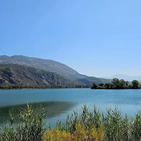 Appartement Elvajo Zacharo