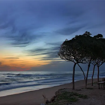 Διαμέρισμα Elvajo