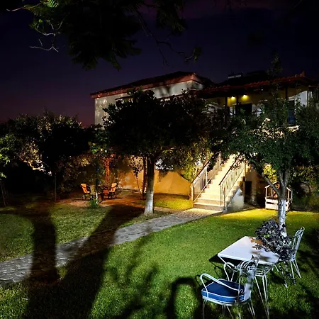 Elvajo * Ζαχάρω