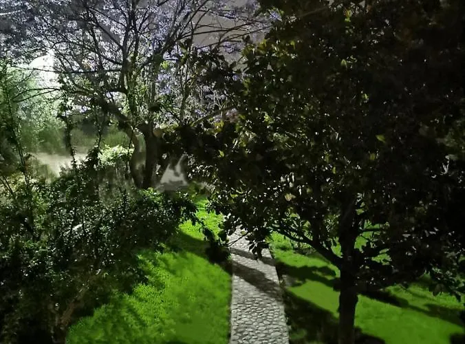 Διαμέρισμα Elvajo Ζαχάρω