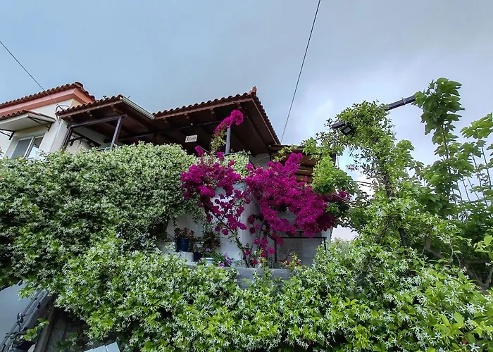 Διαμέρισμα Elvajo