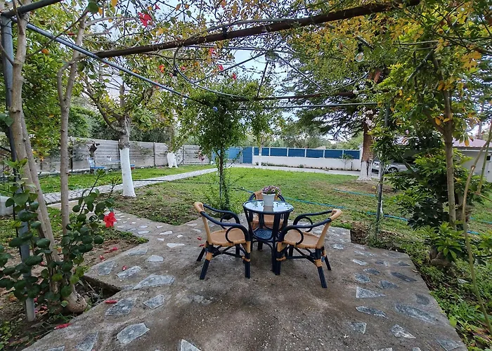 Elvajo * Ζαχάρω