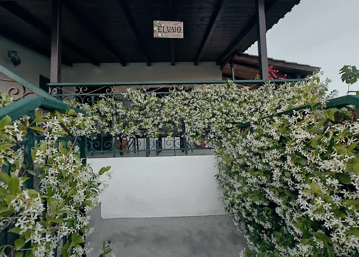 Διαμέρισμα Elvajo Ζαχάρω