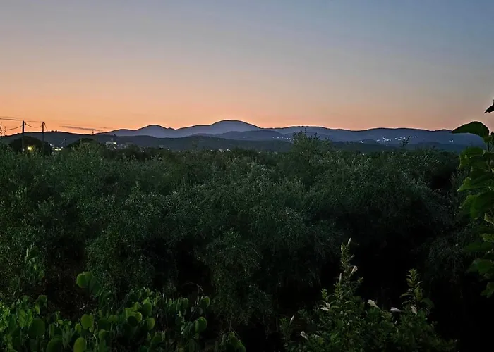 Elvajo Апартаменты Захаро