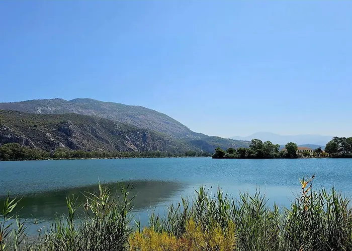 Διαμέρισμα Elvajo Ζαχάρω