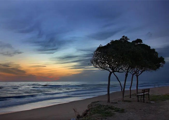 Апартаменты Elvajo